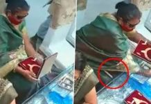 Viral Video: Woman Steals Necklace Worth Lakhs In Busy UP Store; Check Details