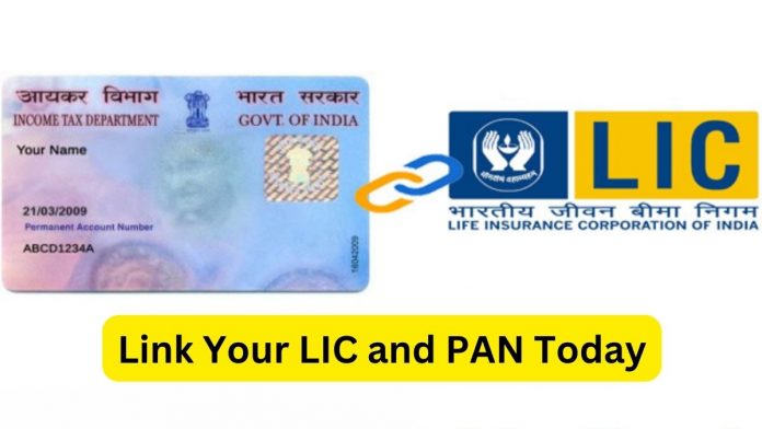 Don't Miss Out! Last Chance To Avoid Penalty: Link Your LIC and PAN Today - Easy Guide